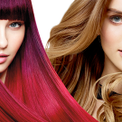 Hair color - Royal Beauty